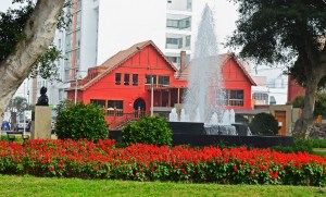 pitahaya behind the park