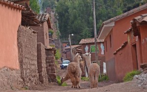 everyday street scene