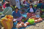 pisac market
