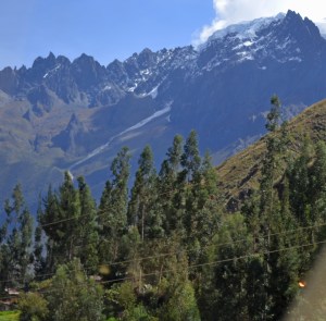 scenery from the train