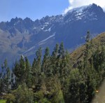 view from HB&nbsp;train