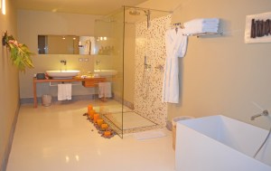 the amazing bathroom