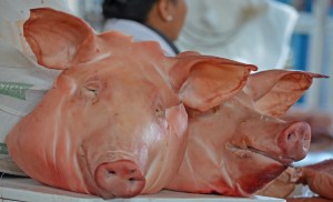 getting close and personal with dinner