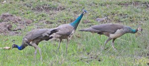 seriously dude we don't care...