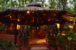 kanha jungle lodge