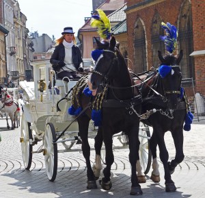 cinderella's carriage?