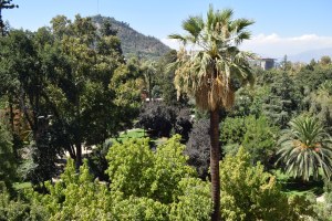 a true room with a view!