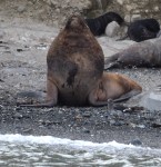 a face only a mother could&nbsp;love…