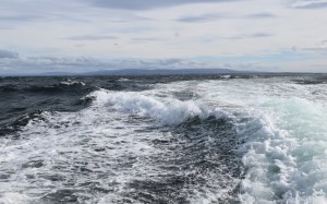 welcome to patagonia :)