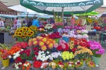 riga market flowers